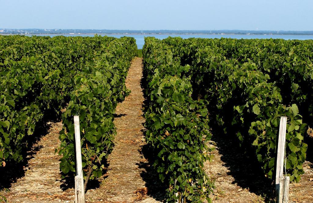 Vvf Soulac-Sur-Mer Bordeaux Medoc Luaran gambar